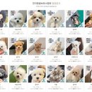 한국동물보호소협회 네이버블로그