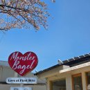 몬스터 | 순천베이글맛집 맛있고 멋있는 몬스터베이글 추천후기