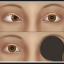 경기성모안경 이미지