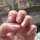 네일팬NailPan