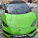 스팀가드 셀프워시 이미지