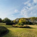 순천만여행스케치 | 순천만 국가정원의 가을