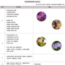 반려견 천연 아로마 테라피 이미지