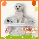 유이애견샵