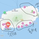 강아지랑 | 강아지랑 제주도 여행 [코스추천, 꿀팁, 후기]