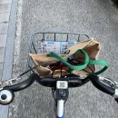 아름동스포츠센터 | 세종시 아름동수영장 현장접수(선착순) 후기 !