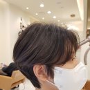 더디자인차이 이미지