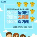 더고흥