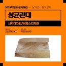 네오캣