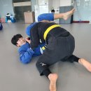 본주짓수성포역점