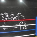 나영철복싱클럽 이미지