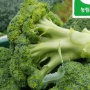 대오농장 이미지