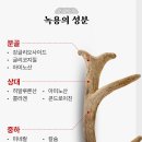 녹용당약국 | 내돈내산 건강한 부모님 명절선물로 어의보감 녹용환 왕의환 공진단 솔직 후기