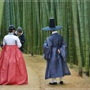 숲속의이야기