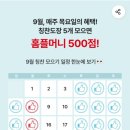 국기도장 이미지