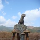 섬진강어류생태관 이미지