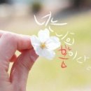 아침의 향기 이미지