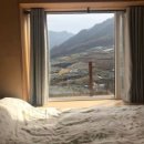 핑크홀리 이미지