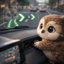 연동점 현대자동차 | 현대폰터스 H3000, 티맵 내비 연동 HUD 솔직 후기