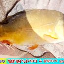 발랑낚시터 이미지