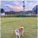 카페051행복