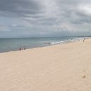 파라다이스 이미지