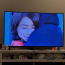 외노자의 좌절