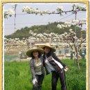 정순농장 이미지