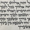 (주)쉐마이스라엘 이미지