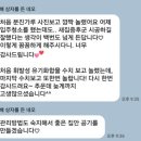 가호브리즈 이미지