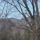 덕유대7영지매점 이미지