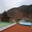 청도강변돌고래펜션 이미지