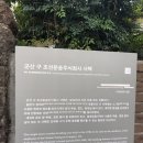주식회사 담안 네이버블로그