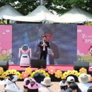 동심의 세계 이미지