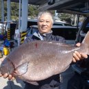 군도1호 이미지