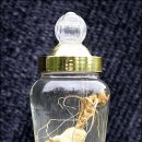 김진규농장 이미지