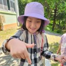 다목초병설유치원 이미지