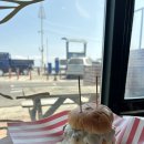 NR-6[경강로]-하-219 | 강릉 맛.zip 2편