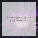 플러스경희한의원 네이버블로그