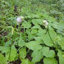 큰재 주차장 이미지