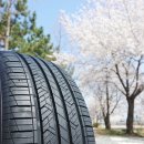 더타이어샵 고잔점 이미지