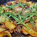 시골오리 이미지