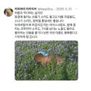 드루와드루와PC | 집에 가좌