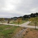 상황오토캠핑장 이미지