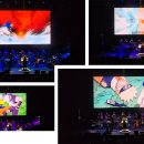 나루토: 더 심포닉 익스피리언스(Naruto: The Symphonic Experience) 관람 후기(Feat. Kravis Center)