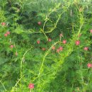 정부동산중개사무소 | 낮은 문턱, 따뜻한 인연/ 정을 잇는 부동산중개사무소