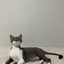 예뻐지냥 이미지