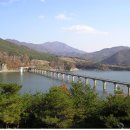고향산천 Daum카페