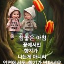 유머ㅡ 세균들의 이야기 ㅡ30년 조개한테 물려 봐라 ㅡ 이미지