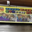 국민체력 100 하려고 충주 가기